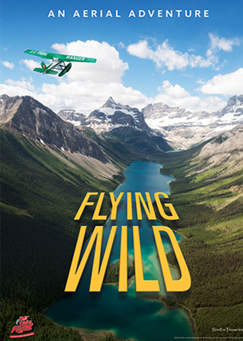 Flying Wild